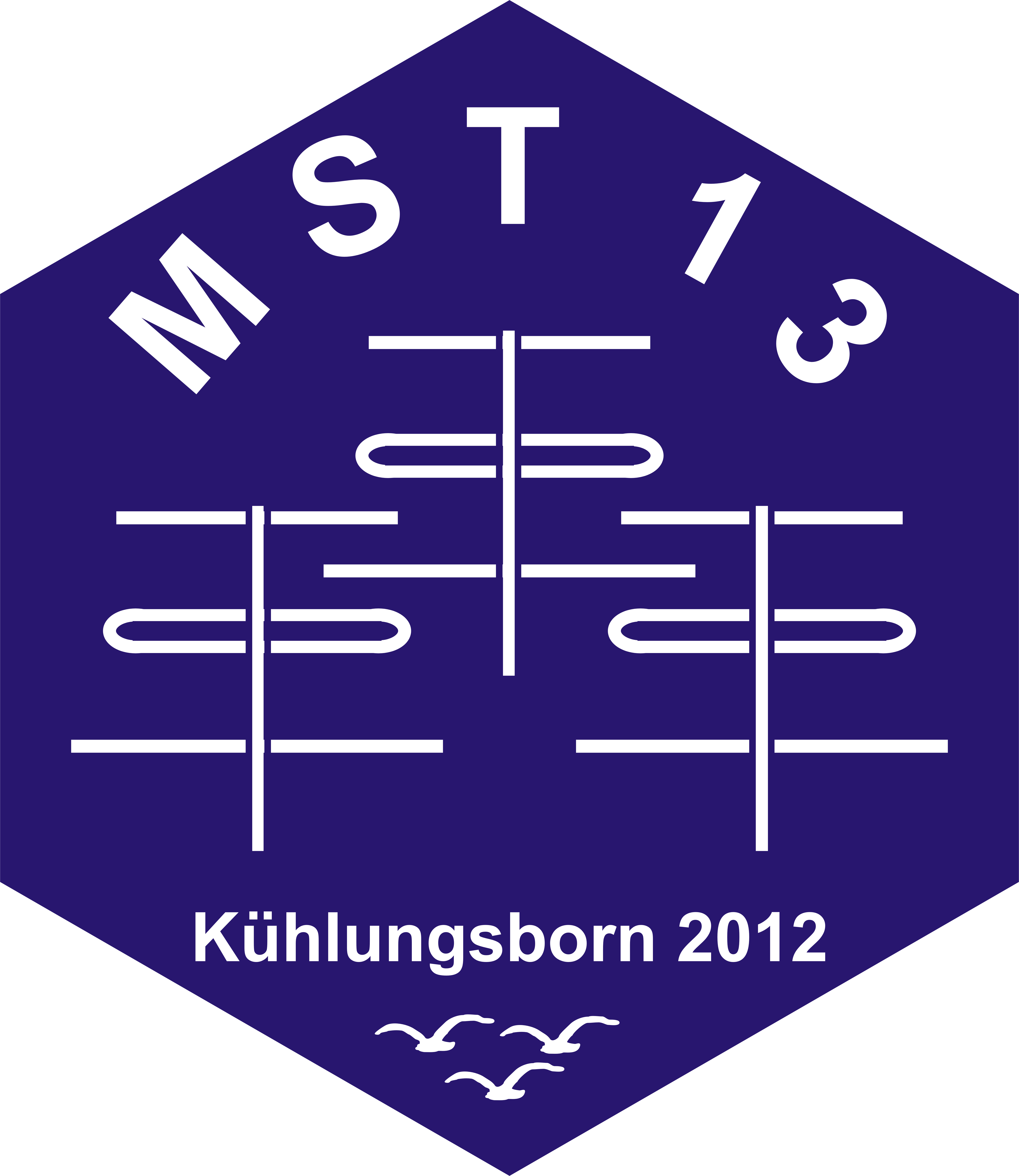Logo MST13